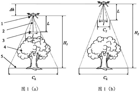 灌木種植密度|如何根据冠幅确定灌木栽植密度？